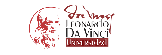 Soporte Universidad Leonardo Da Vinci